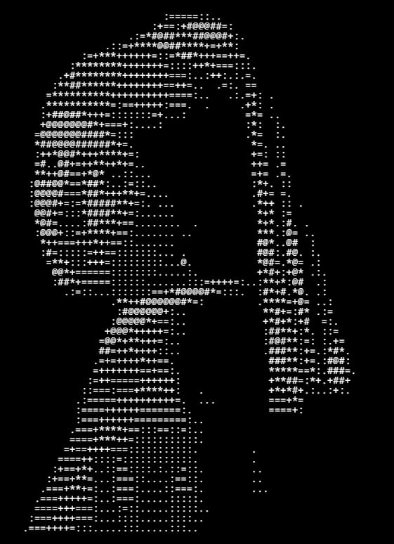 ASCII art output from a typical image converter