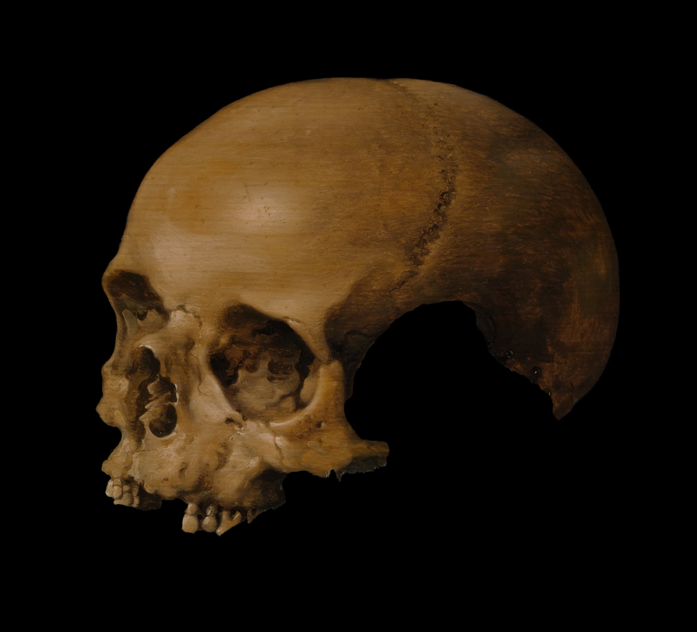 Original oil painting of a skull
